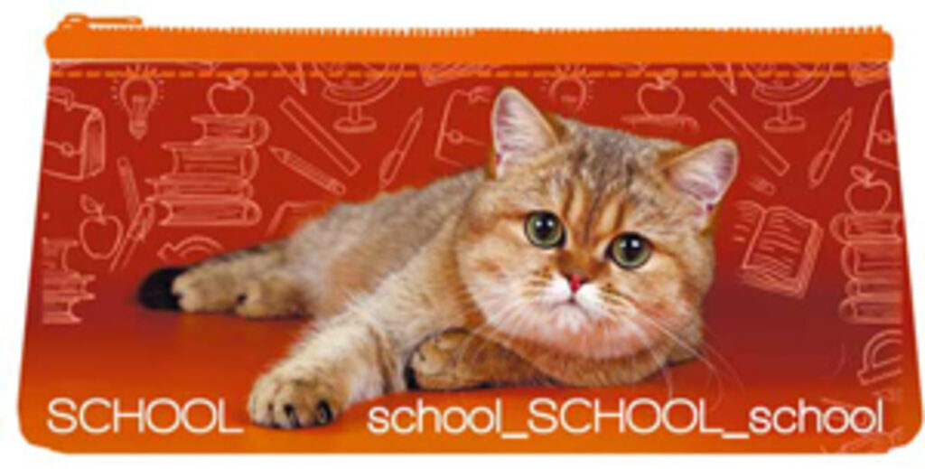 Пенал-косметичка (200*100*40) молния, ткань "School cat"