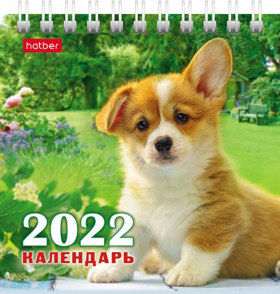 Календарь-ДОМИК (101*101мм) Четыре с хвостиком на 2022 год
