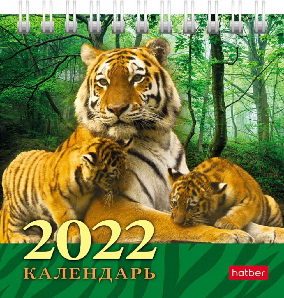 Календарь-ДОМИК (101*101мм) Дикие котята на 2022 год