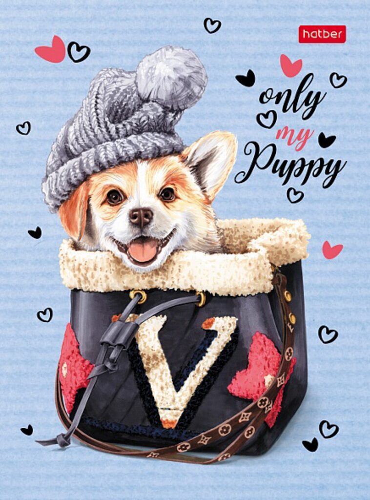 Блокнот А6 7БЦ  64л "Fashion dog-Корги" кл./лин., глянц.лам.