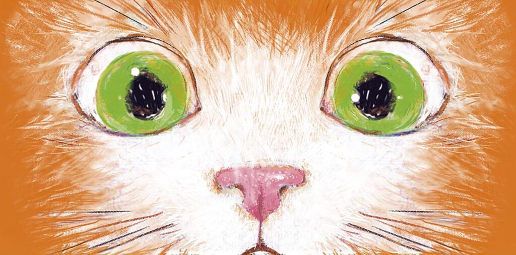 Конверт для денег "Кошка"