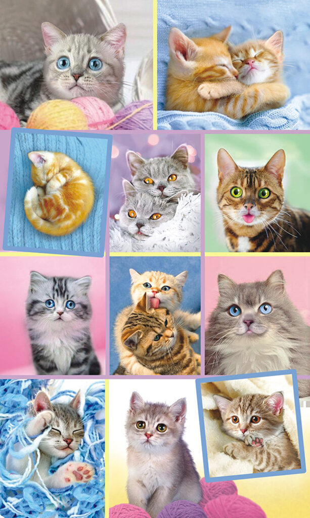 Наклейки детские 16*9см  "Кошки" с блёстками