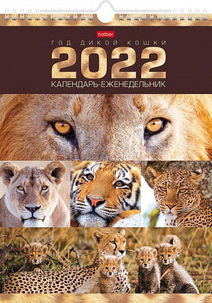 Календарь ЕЖЕНЕДЕЛЬНИК (240*320мм) Год дикой кошки,  56 л