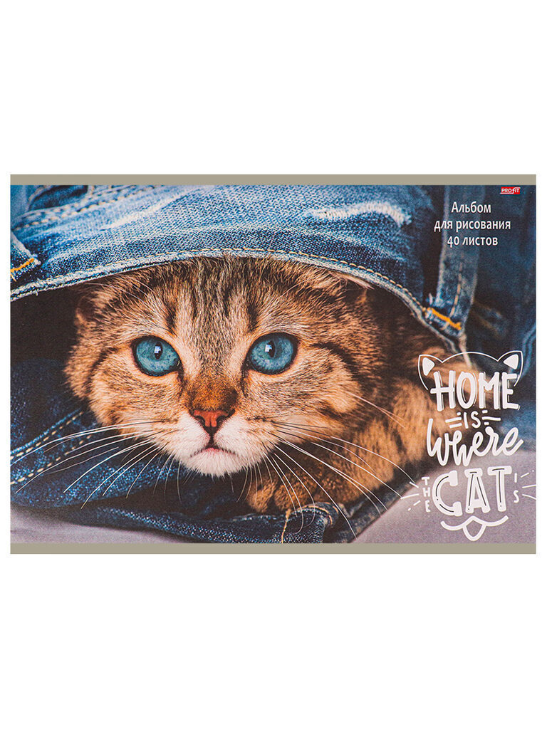 Альбом А4 40л скоба "Котик и джинсы"  пл. 100 г/м