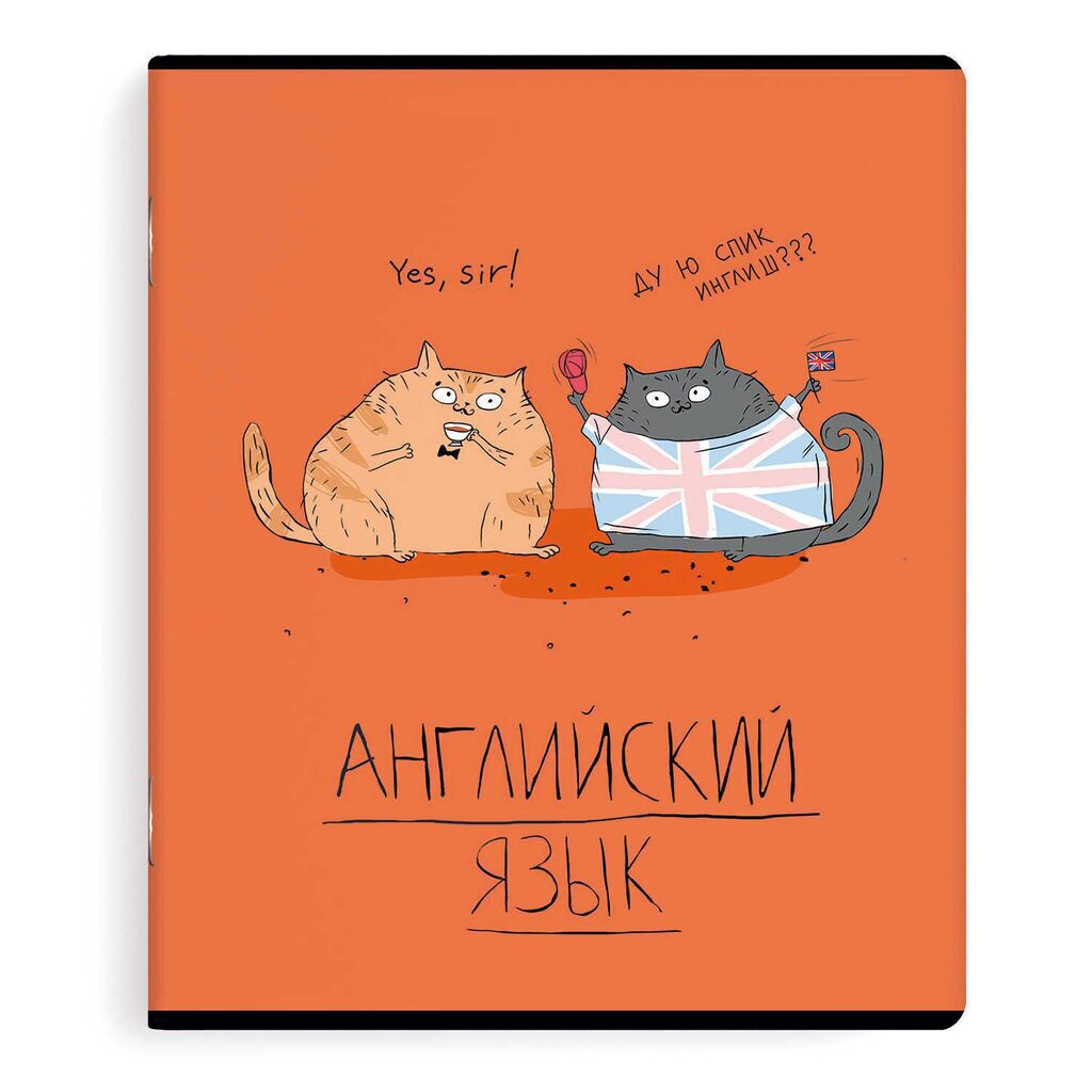 Тетрадь предметная А5 Английский язык "Любознательные коты" 48л, выб. ТВИН УФ-лак., кл.
