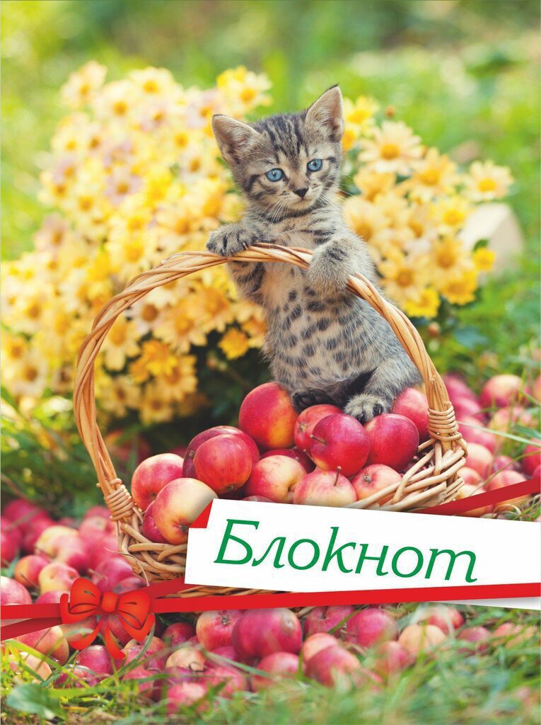 Блокнот А6  20л скоба "Котёнок"" без линовки