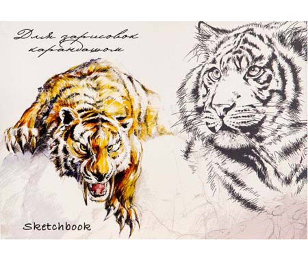 Скетчбук А5  48л., скоба,  60гр/м2 "Эскиз тигра"