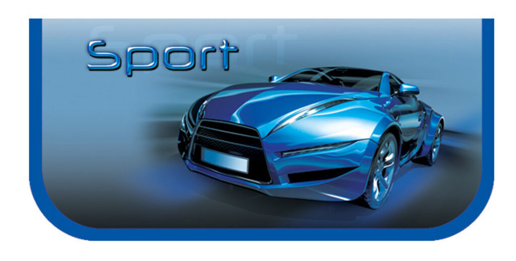 Пенал 1 отд. (190*90*27) молния, лам.картон "Sport car синий"
