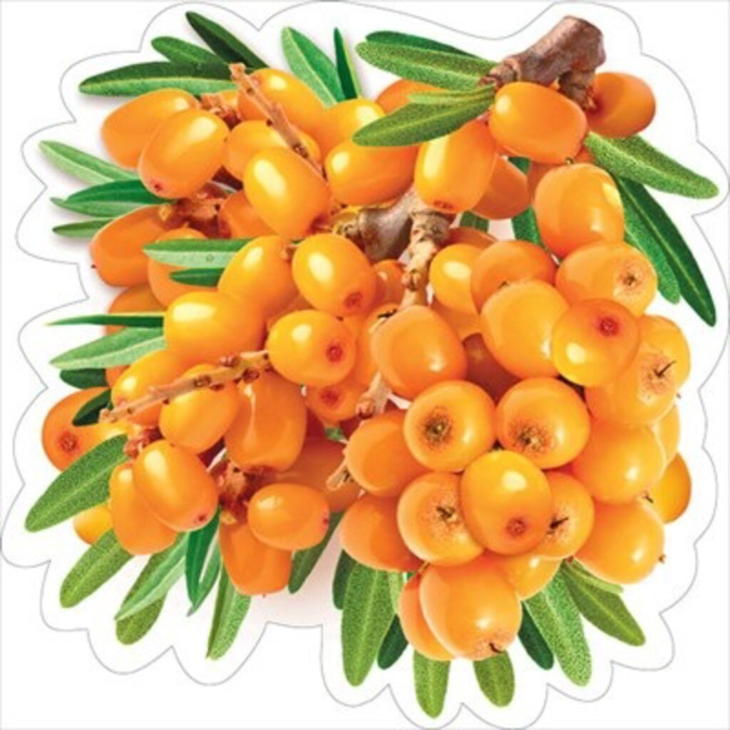 Украшение на скотче 15*15см  "Облепиха"