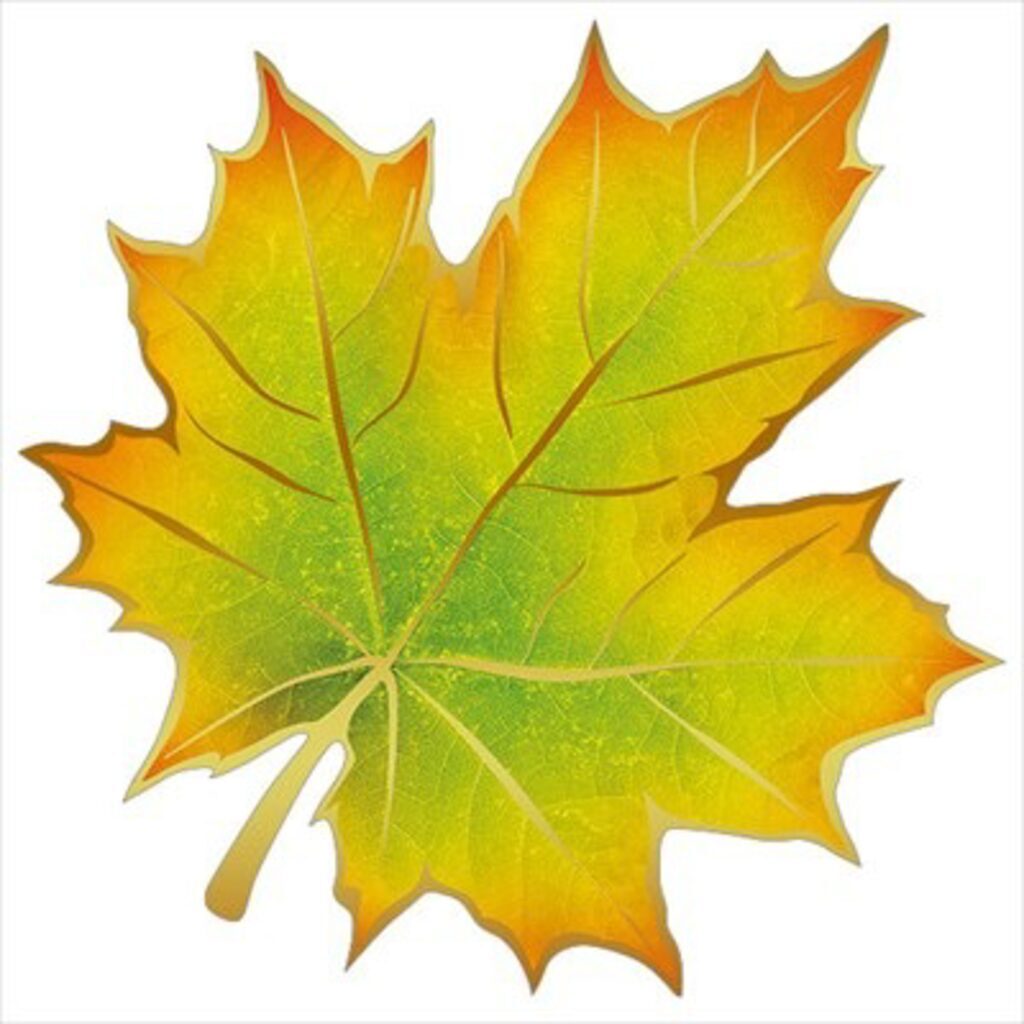 Вырубная фигурка 16*16см "Лист кленовый"