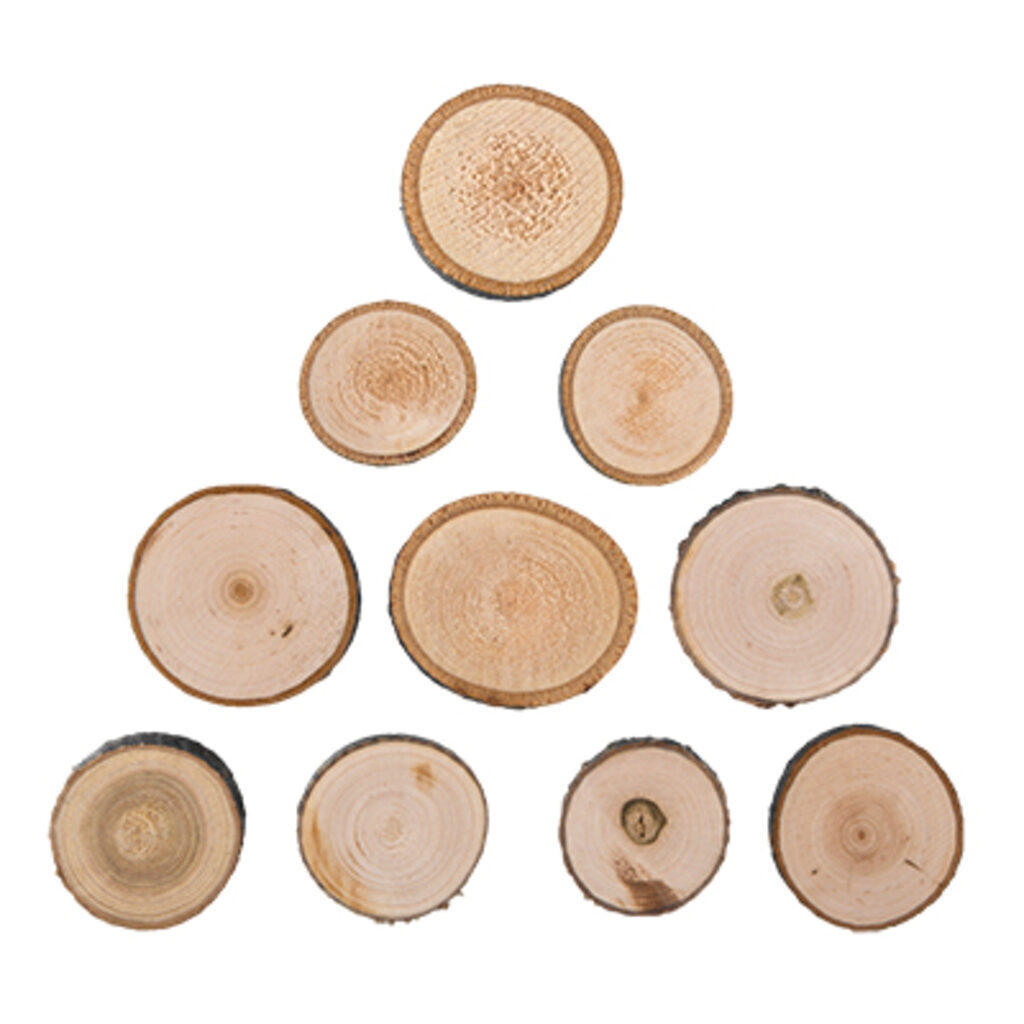 яичный агат не полированный. ясень дерево срез. набор срезов 2d. срез дерева. срез-05 дерева.