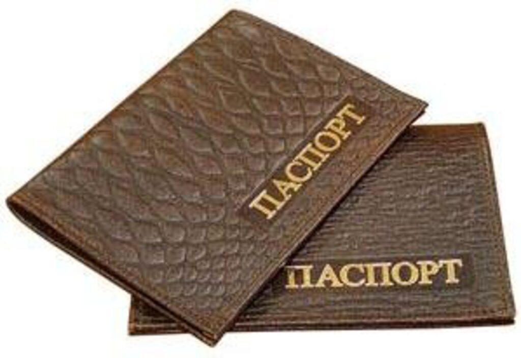 Обложка для паспорта из нат.кожи с карм.из пласт.