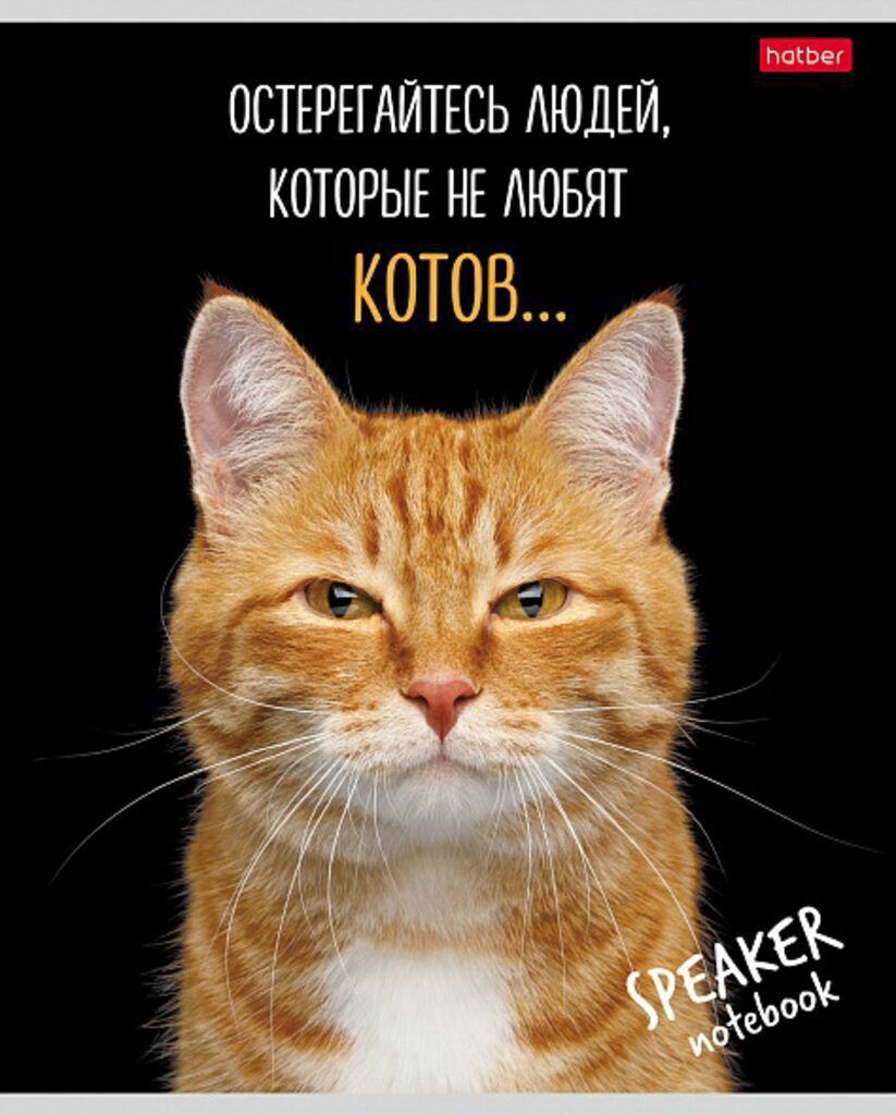Тетрадь А5 40л кл. Hatber "Кот говорит!" белизна 98%