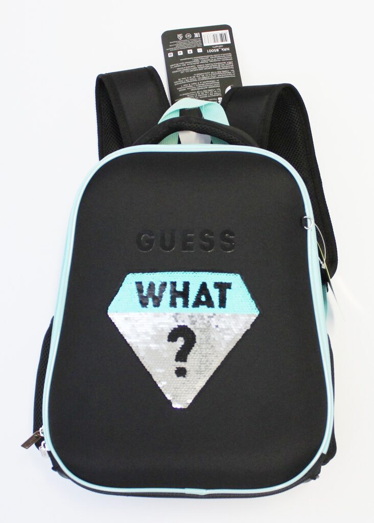Ранец школьный 38*29*16см Hatber Ergonomic light "What?" EVA