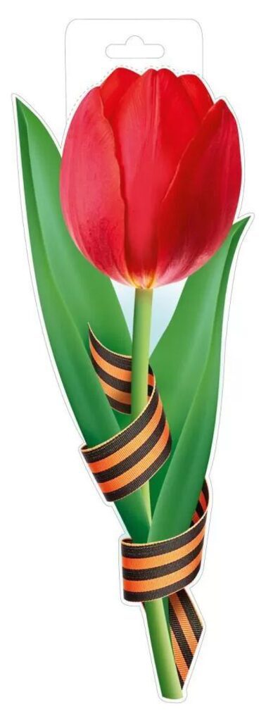 Плакат фигурный 14*37см "Красный тюльпан с георгиевской лентой"