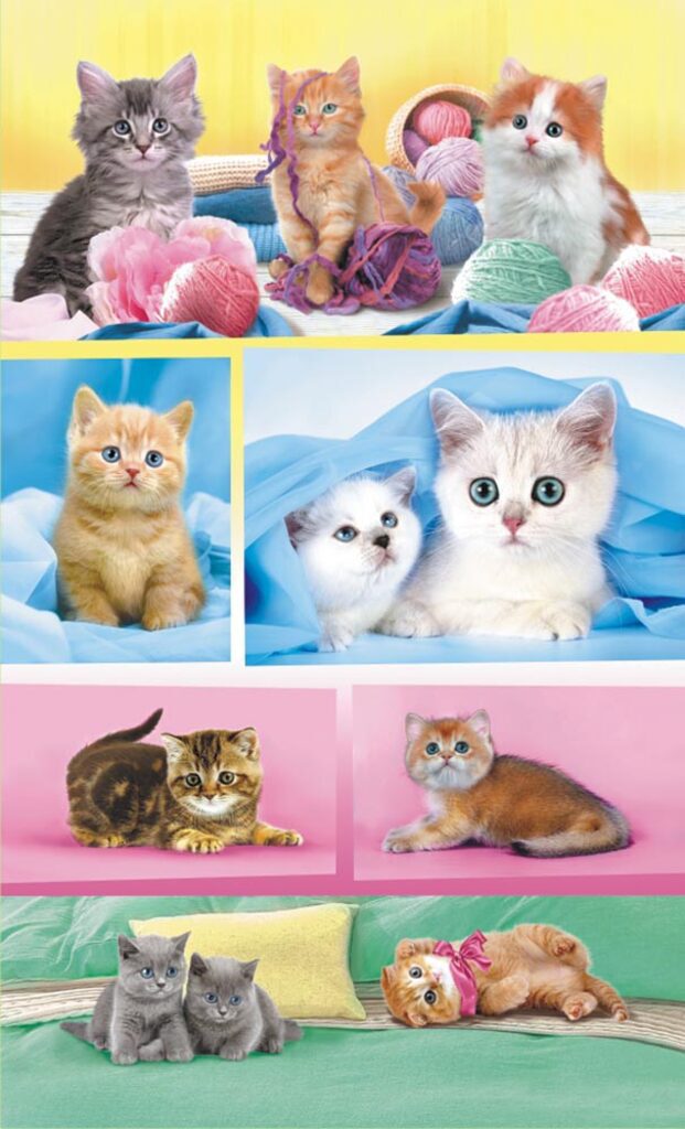 Наклейки детские 16*9см  "Кошки" с блёстками