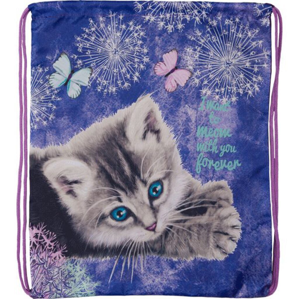 Мешок для обуви 1 отд, 350*430 "Cute Kitty"
