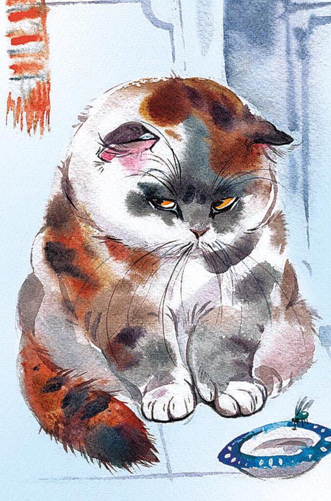 Открытка А5 "Кот"