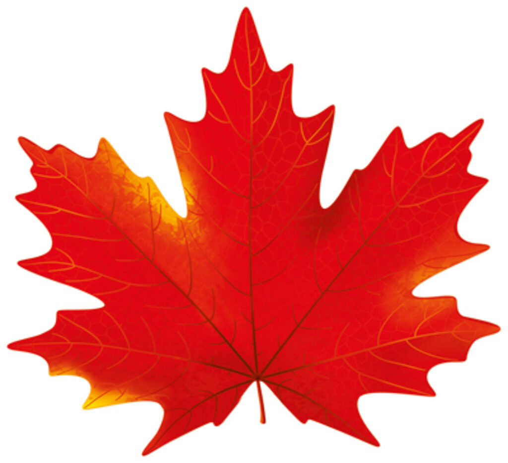 Вырубная фигурка 15*15см "Листочки. Клен красный"  УФ -лак