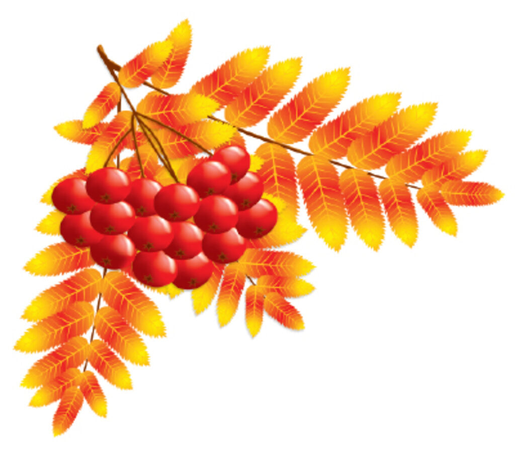 Вырубная фигурка 15*15см "Листочки. Рябина осенняя"  УФ -лак