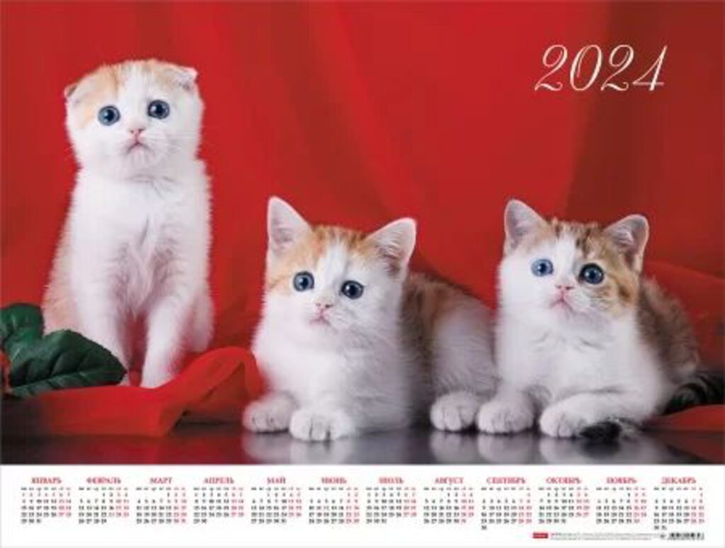 Календарь ЛИСТОВОЙ 598*450мм, А2 Кототерапия, на 2024 год