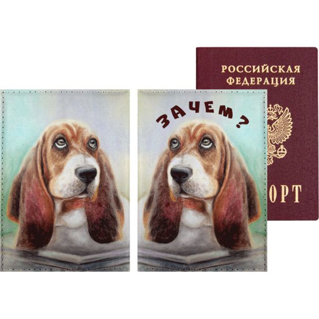 Обложка для паспорта из к/з " Зачем ?"  1 отд.д/визиток