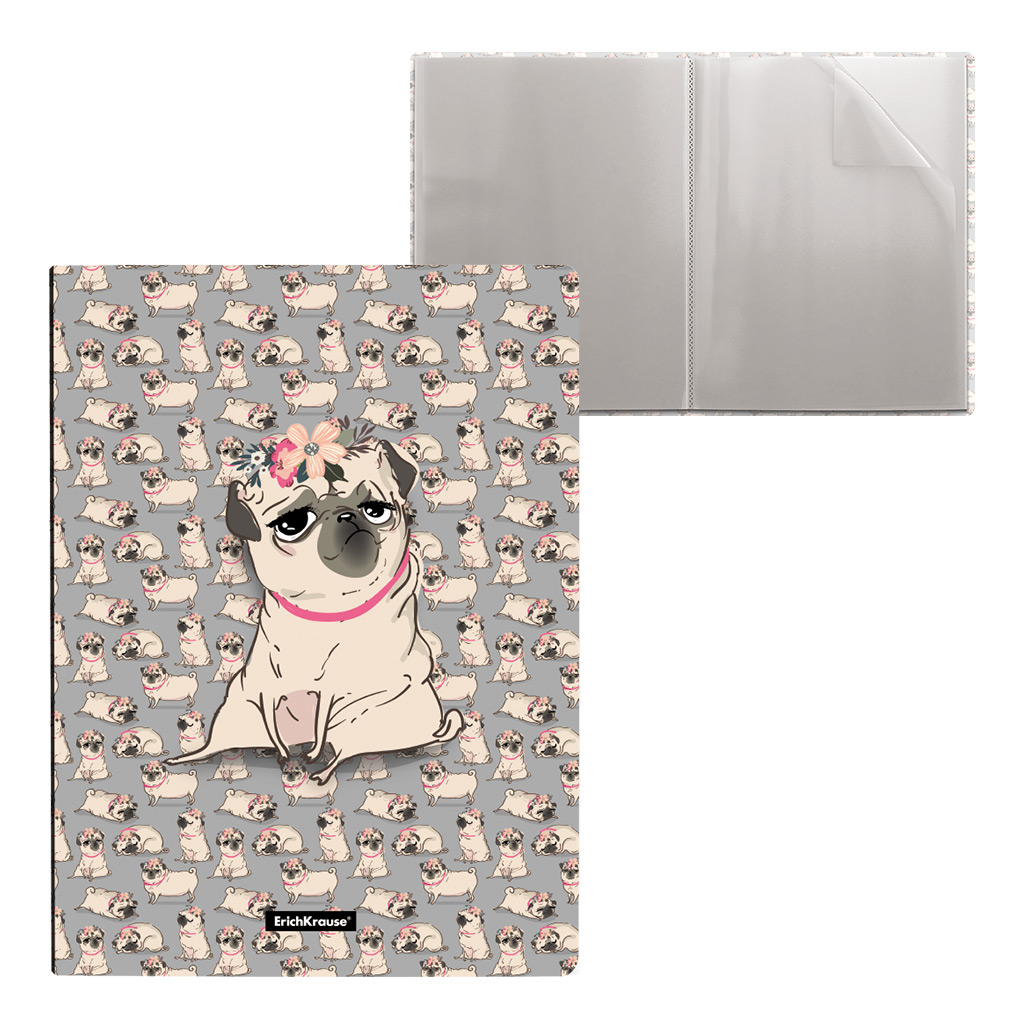 Папка файловая пластиковая ErichKrause® Chilling Dog, с 30 карманами, А4 (в пакете по 4 шт.)