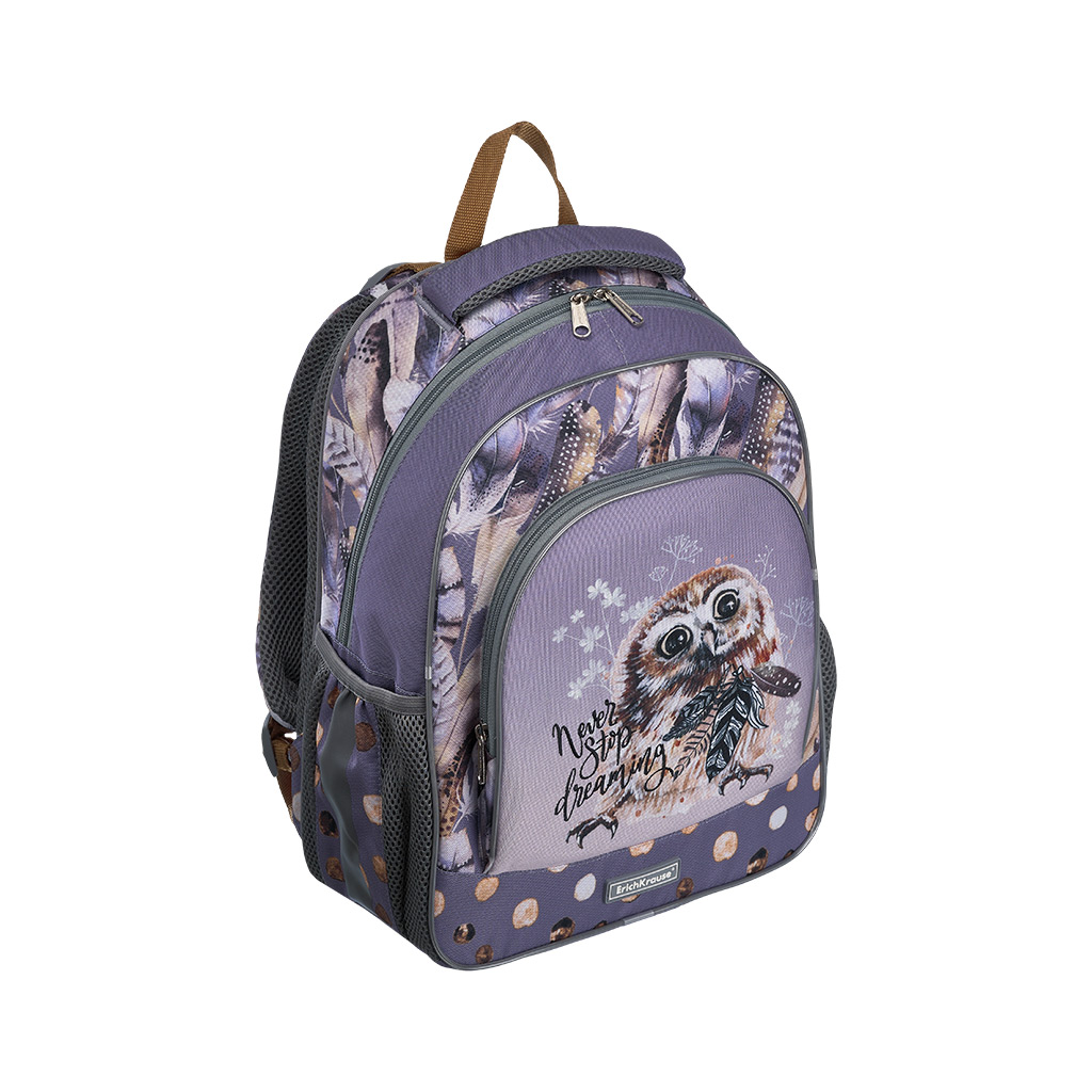 Ученический рюкзак ErichKrause ErgoLine® 15L Dreamy Owl