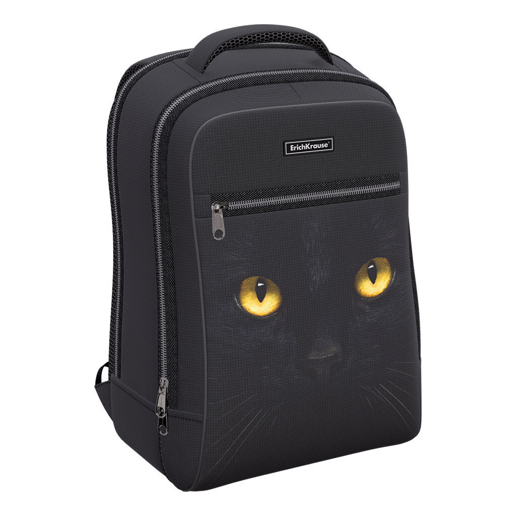 Ученический рюкзак ErichKrause ErgoLine® Urban 18L Black Cat