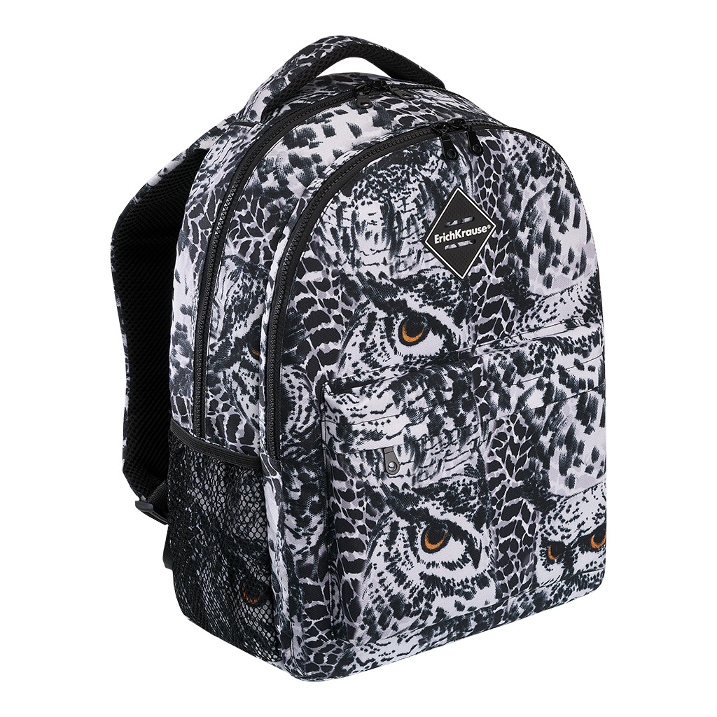 Ученический рюкзак ErichKrause® EasyLine® с двумя отделениями 20L Night Owl