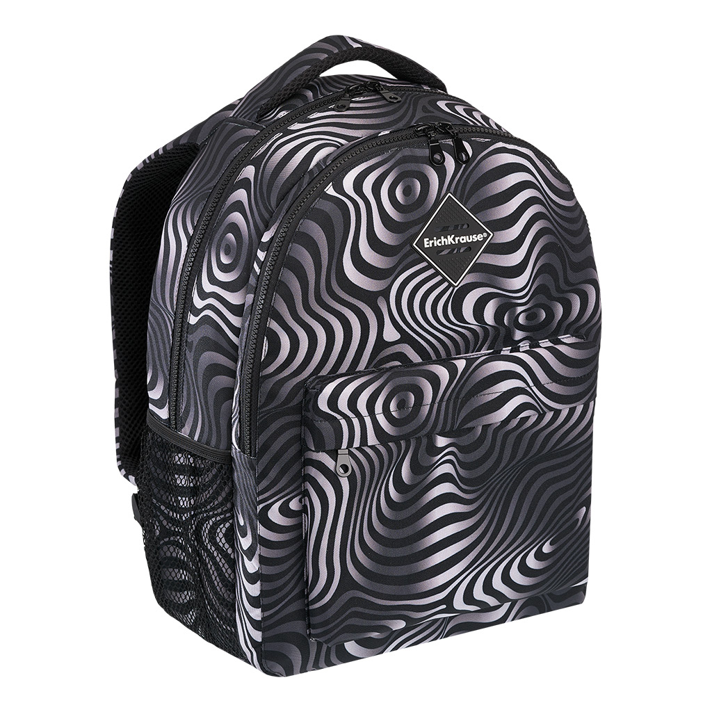 Ученический рюкзак ErichKrause EasyLine® с двумя отделениями 20L Illusion