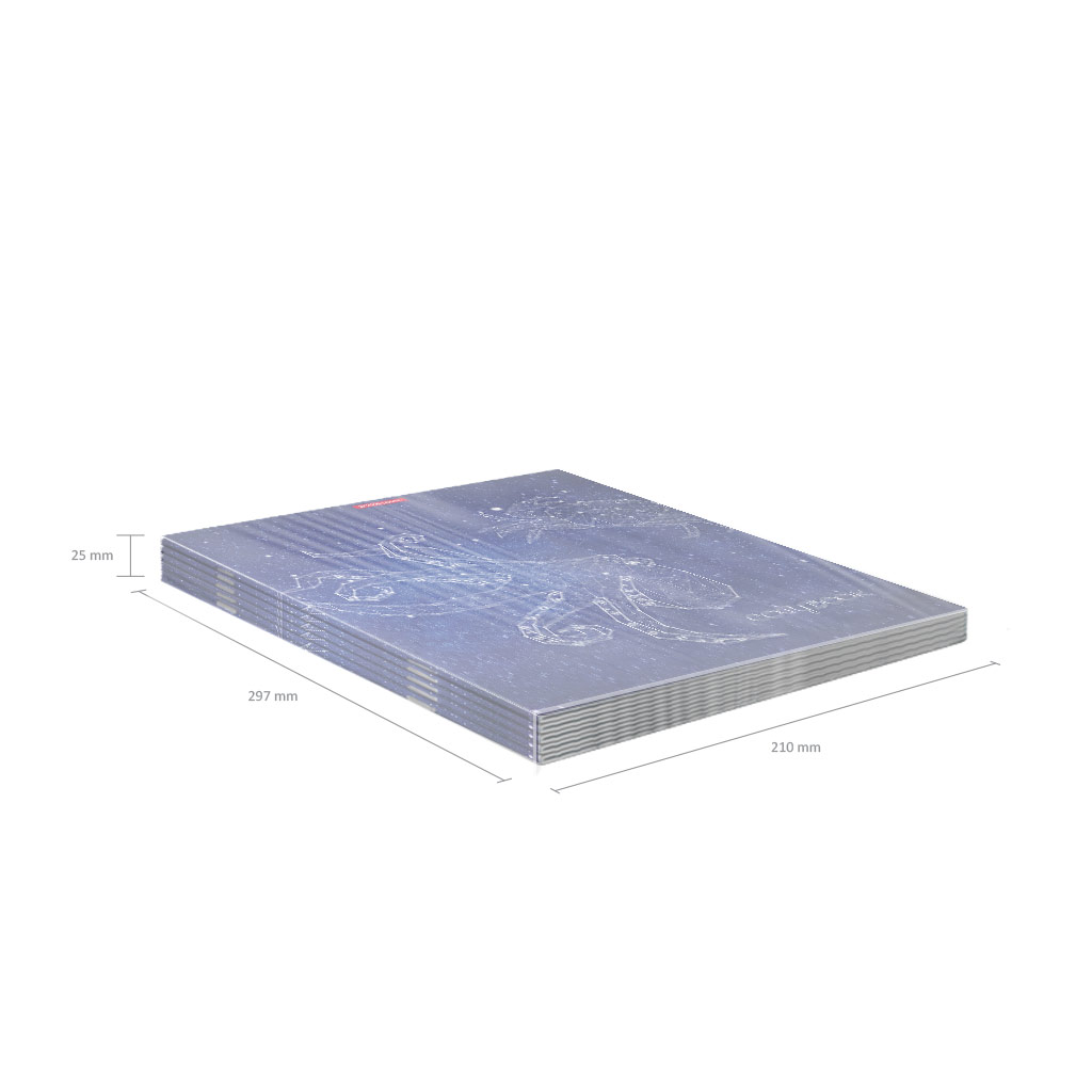 Тетрадь общая ученическая с пластиковой обложкой на скобе ErichKrause Galaxy, Mixed Reality, ассорти, А4, 48 листов, клетка