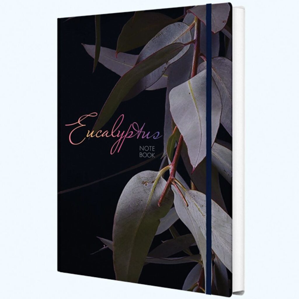 Записная книжка А5  96л., 7БЦ "Eucalyptus" резинка