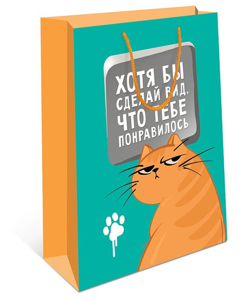 Пакет подар. бумажн. 18*23*10 см, 130гр/м Недовольный кот
