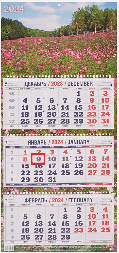 Календарь Трио Летний день на 2024 г.