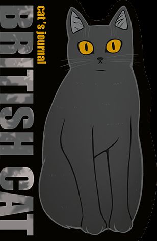 Записная книжка А5  48л. картон, скоба "Британский кот" софт-тач., выб.УФ-лак