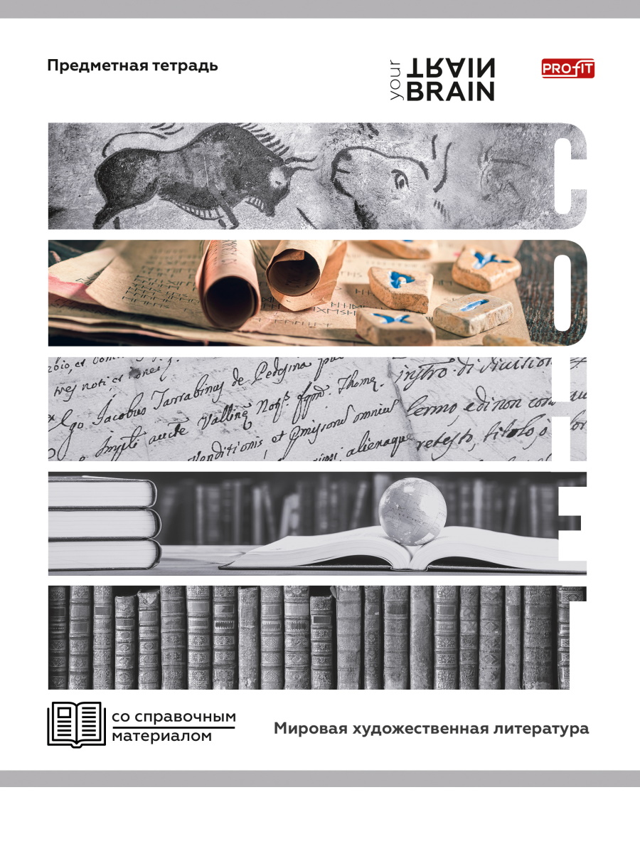 Тетрадь предметная А5 Мировая художественная литература "Контрасты" 48л, лин.,обл.мел.бум., бел.100%
