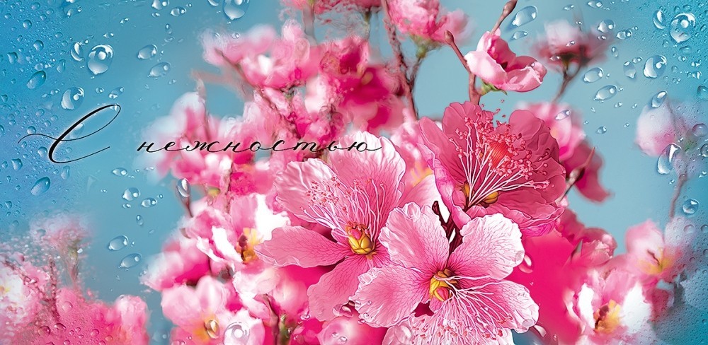 Конверт для денег " С нежностью"