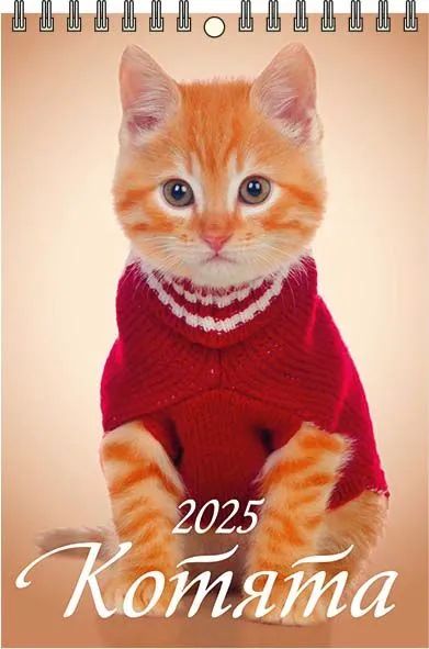 Календарь настенный перекидной  170*250мм на 2025г.  Котята