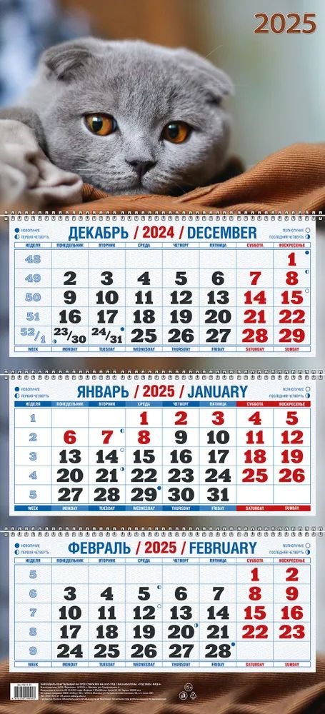 Календарь Трио  310*680мм на 2025г.  Милый котёнок