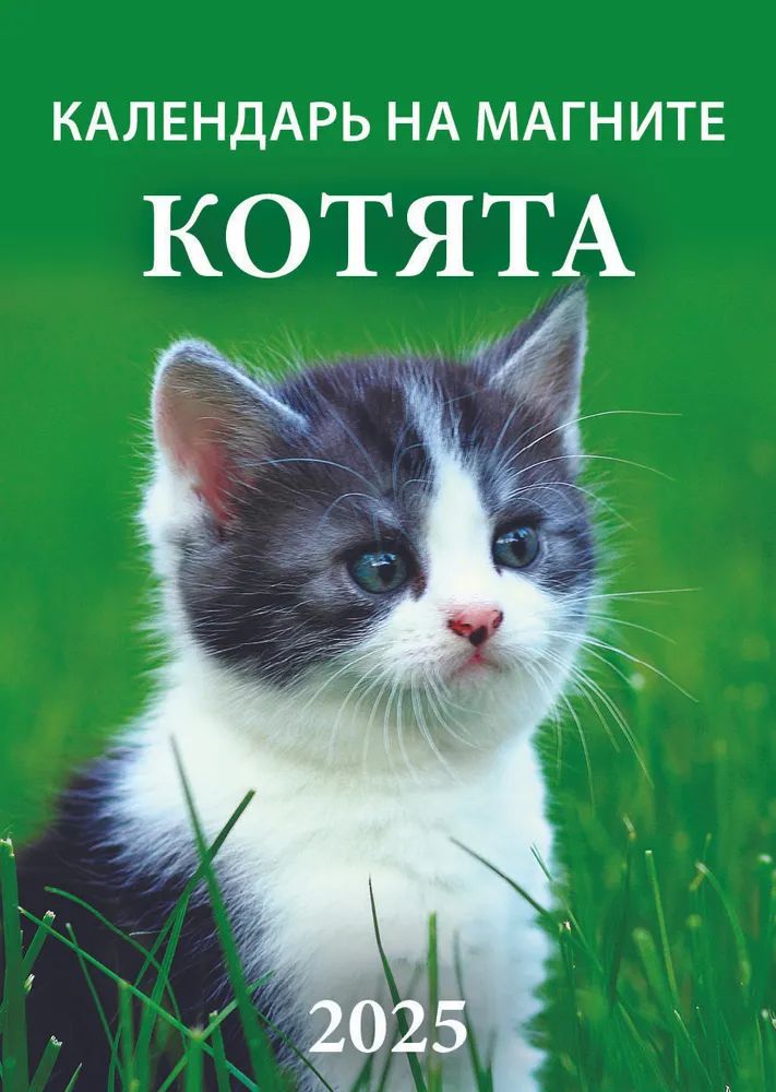 Календарь на магните отрывной  96*135мм на 2025г.  Котята