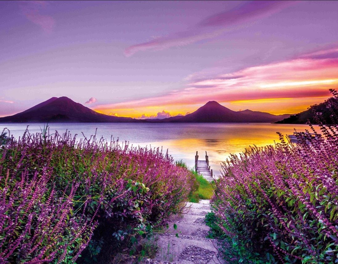 Календарь Трио  295*720мм на 2025г.  Лавандовый причал