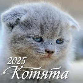 Календарь настенный перекидной  285*285мм на 2025г.  Котята