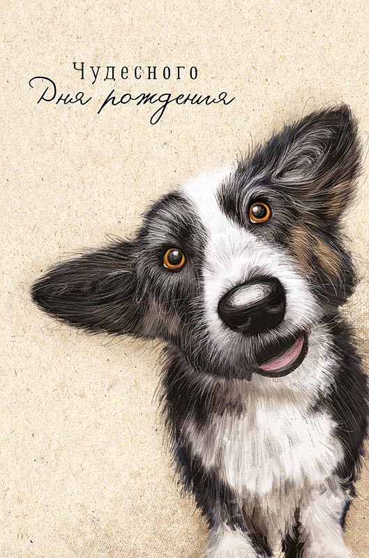 Открытка А5 "Чудесного Дня Рождения"