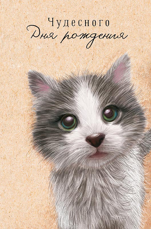 Открытка А5 "Чудесного Дня Рождения"