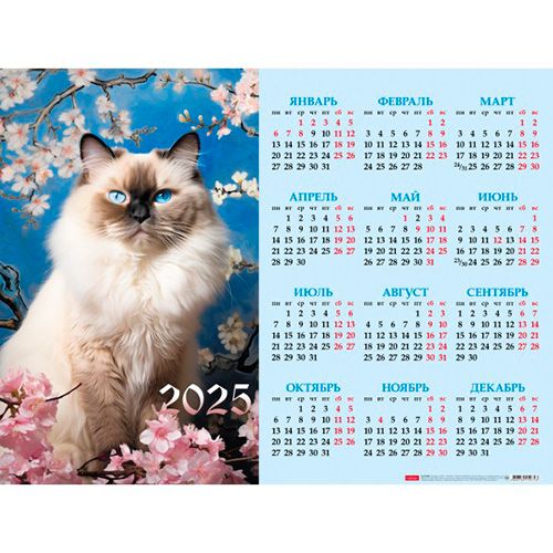 Календарь настенный листовой  598*450мм на 2025г.  Мур-Мур