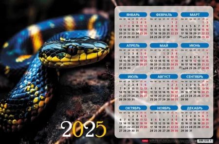 Календарь настенный листовой  435*290мм на 2025г.  Год Змеи