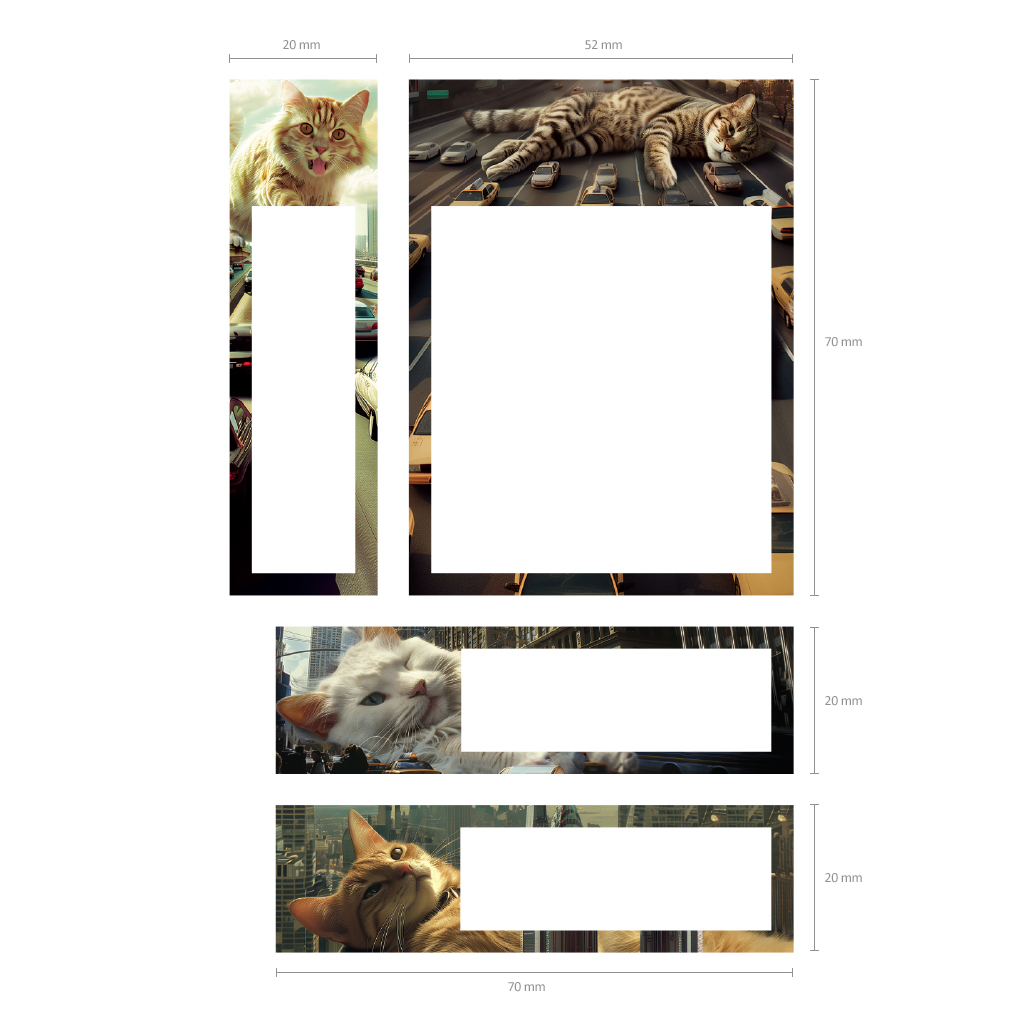 Клейкие закладки бумажные ErichKrause Big City Cats, 70X52 мм, 20X70 мм, 70X20 мм, 80 листов