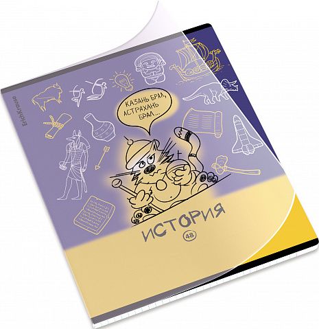 Тетрадь общая ученическая с пластиковой обложкой на скобе ErichKrause Котоформулы, История, 48 листов, клетка