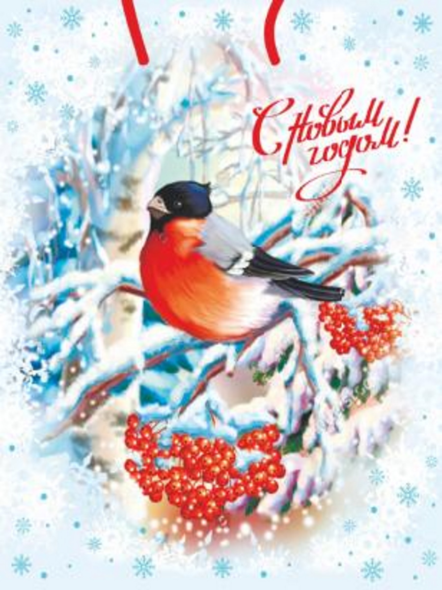 Пакет подар. бум. новогодн. 11,5х14,5х6см  Чудесная зима